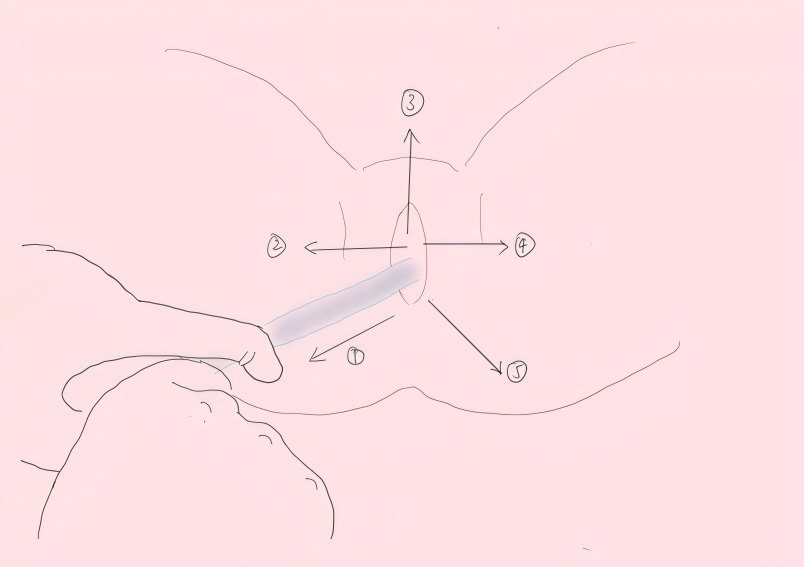 WPS图片(1)图2.png