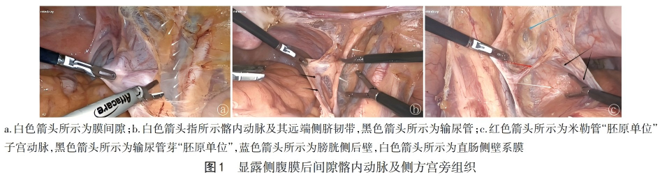 WPS图片(1).png