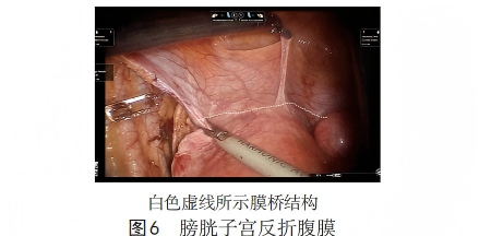 WPS图片(1)6.png