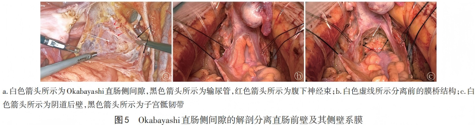 WPS图片(1)5.png