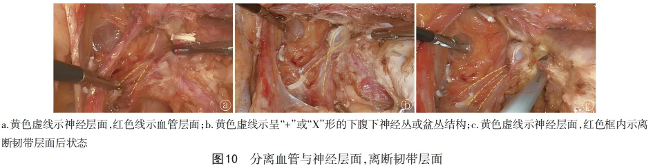 WPS图片(1)10.png