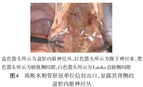 WPS图片(1)4.png