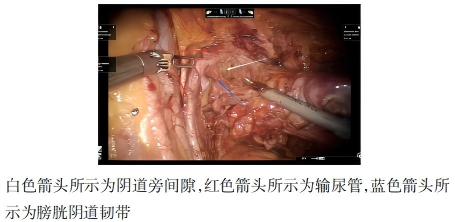 WPS图片(1)8.png