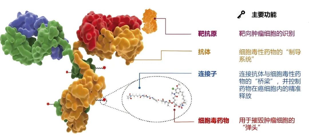图2.png